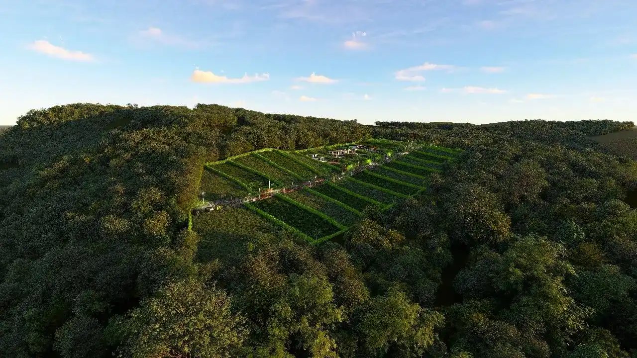 Bella Vista miniatura 2