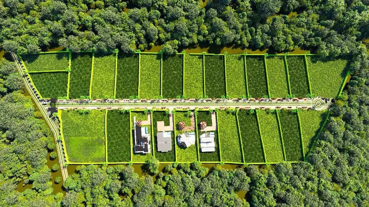 Bella Vista miniatura 3